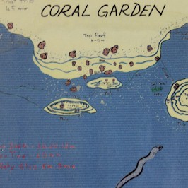 Coral Garden